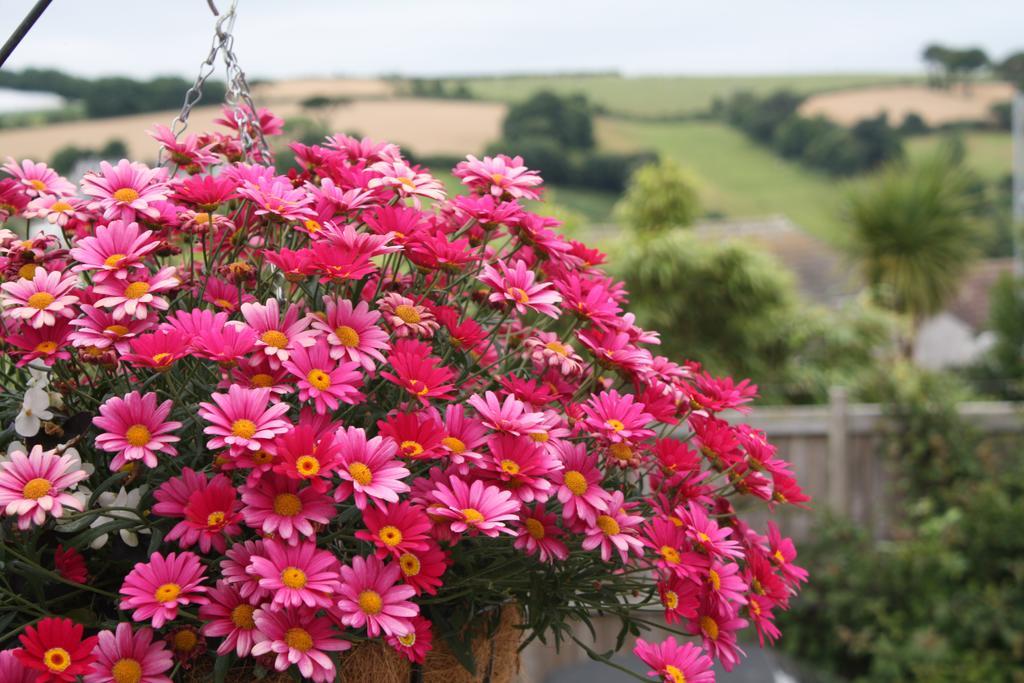 Linton Luxury Holiday Home Mevagissey Buitenkant foto