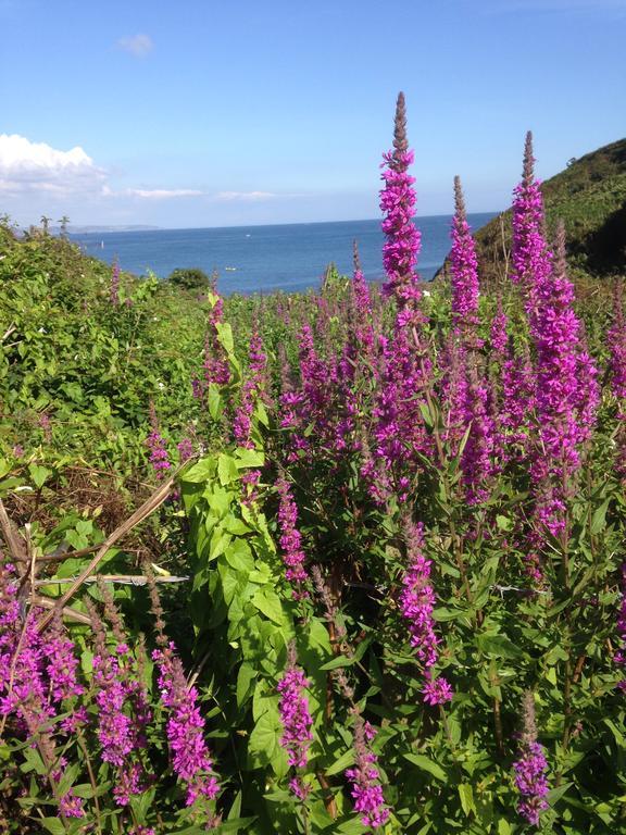 Linton Luxury Holiday Home Mevagissey Buitenkant foto